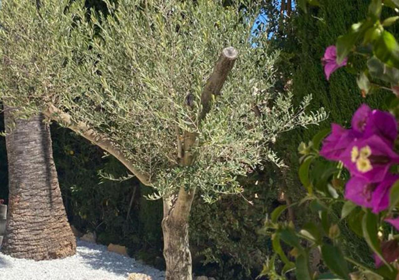 Holiday Villa Moraira Zewnętrze zdjęcie